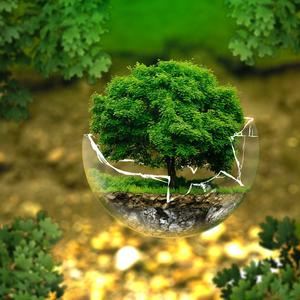 Jak nie wypaczyć idei zrównoważonego rozwoju?