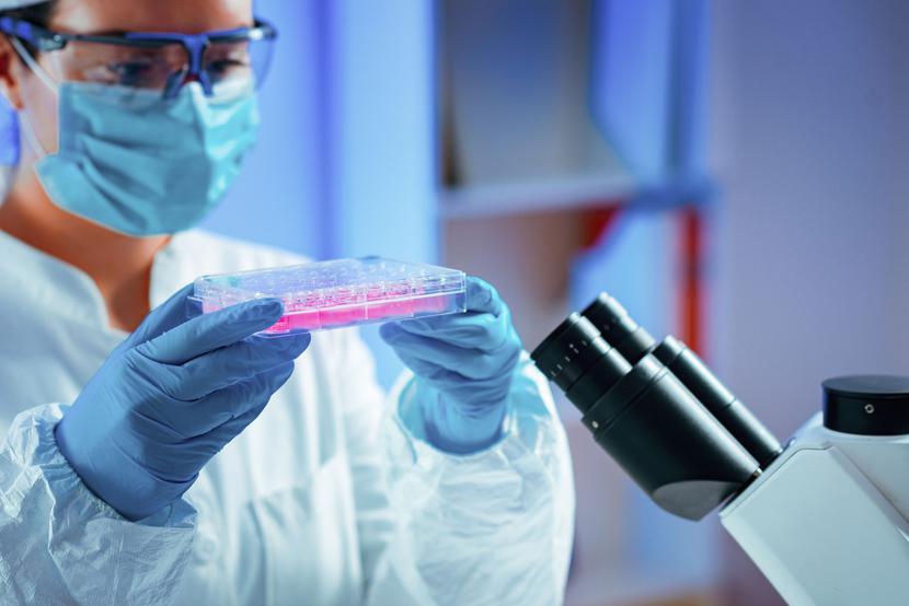 22 proc. próbek komórek macierzystych hodowanych w laboratoriach zajmujących się badaniami nad medycyną regeneracyjną miało co najmniej jedną mutację związaną z nowotworem. 22 proc. próbek komórek macierzystych hodowanych w laboratoriach zajmujących się badaniami nad medycyną regeneracyjną miało co najmniej jedną mutację związaną z nowotworem.