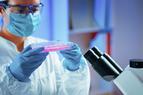 Komórki macierzyste z laboratoryjnych hodowli mogą sprzyjać nowotworom [BADANIA]