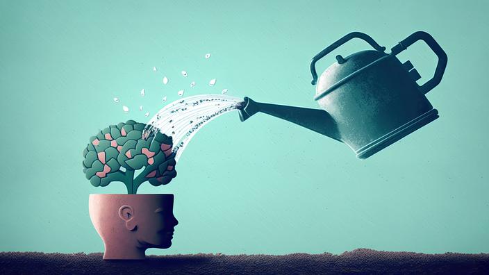 Kierunek inwestycji: