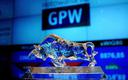 Grupa Arlen chce wejść  na GPW, zaoferuje do 35 proc. istniejących akcji