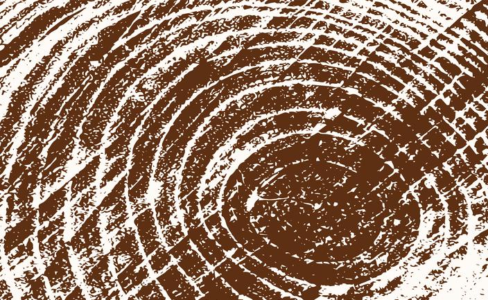 Drewno przestało drożeć, a firmom wiedzie się lepiej? Branża łapie się za głowę