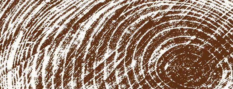 Drewno przestało drożeć, a firmom wiedzie się lepiej? Branża łapie się za głowę