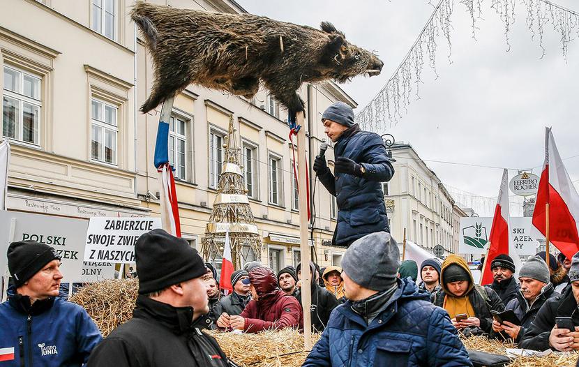 DO ODSTRZAŁU: