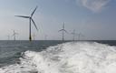 Orsted i PW będą kształcić specjalistów morskiej energetyki wiatrowej
