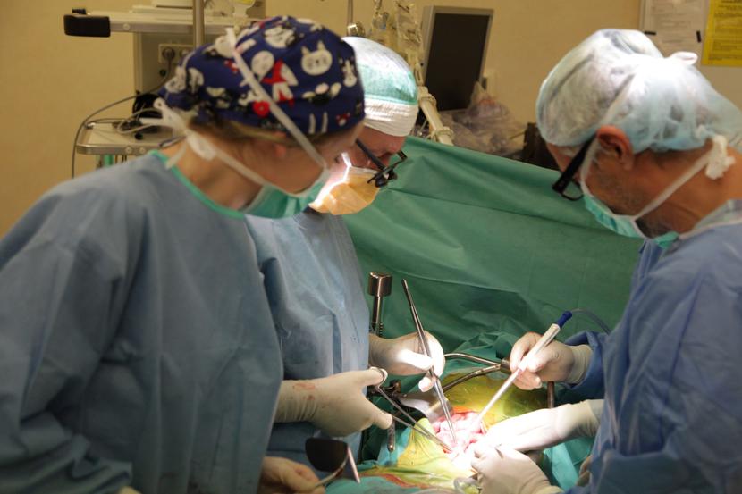 System opieki transplantologicznej w Polsce wymaga zmian ukierunkowanych przede wszystkim na wzrost liczby dawców oraz zwiększenie aktywności donacyjnej szpitali.