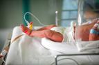 Pierwsze polskie "nerkoserce" być może wkrótce w szpitalu w Prokocimiu