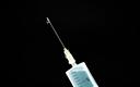 Szczepionka Moderny 13 razy droższa od preparatu AstraZeneki