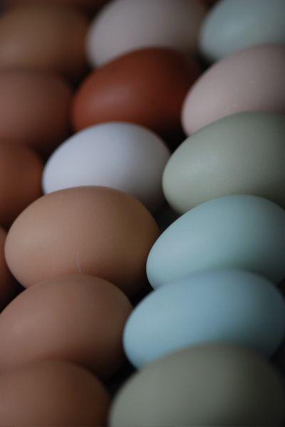 Jajo kosztuje dziś 45 gr.