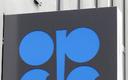 OPEC nie obniży wydobycia w czerwcu