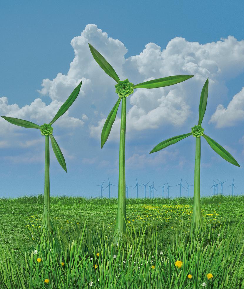 zielona gospodarka 2021 zielona gospodarka 2021