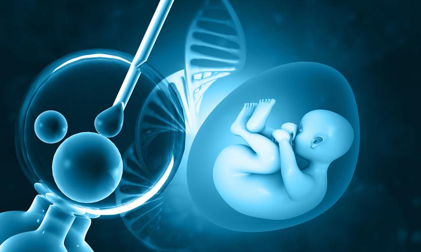 Vitro Fertilization. IVF and Human fetus with DNA strand. 3d illustration
