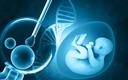 Są wyniki konkursu na realizatorów programu in vitro. Wybrano 58 podmiotów