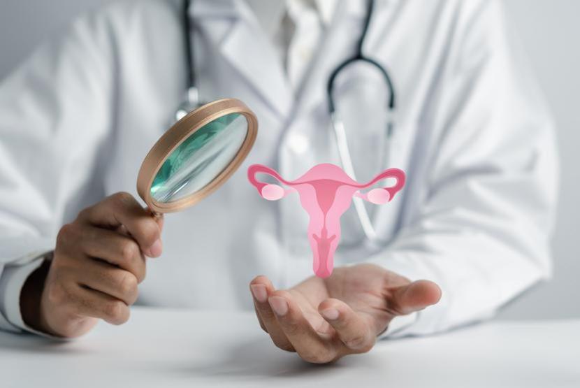 Ekspertów niepokoi skokowy wzrost zachorowalności na raka endometrium (trzonu macicy), najpowszechniejszego spośród wszystkich nowotworów ginekologicznych. Ekspertów niepokoi skokowy wzrost zachorowalności na raka endometrium (trzonu macicy), najpowszechniejszego spośród wszystkich nowotworów ginekologicznych.