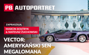 Vector: Amerykański sen megalomana. PB AUTOPORTRET