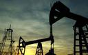 UBS: ropa stanieje do 30 USD po Doha