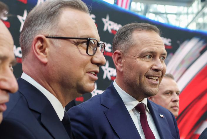Pałacowy delfin: