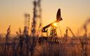 TotalEnergies dokonuje odkrycia złóż ropy naftowej