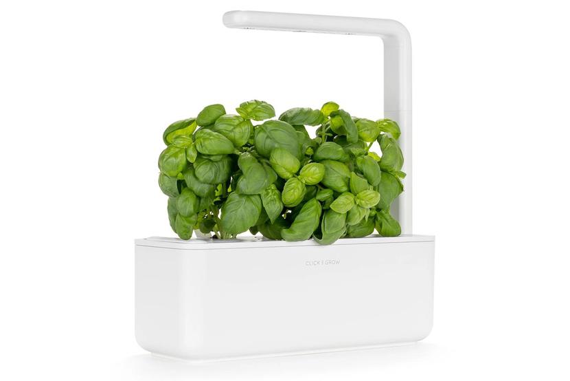 The Smart Garden 3 Fot. ARC The Smart Garden 3 Fot. ARC