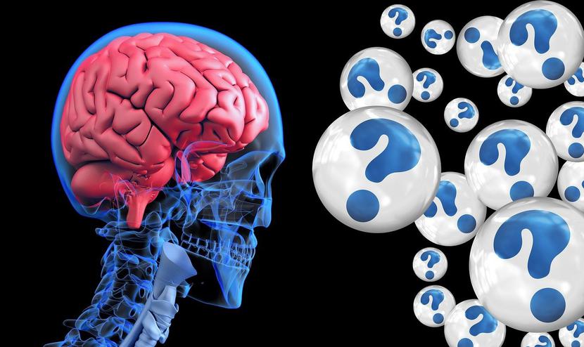 U człowieka układ krążenia może mieć wpływ na zdolność mózgu do tworzenia nowych komórek.