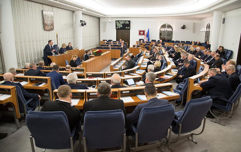 fot. Mateusz Włodarczyk-forum