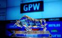 Wiceprezes GPW: w tym roku możliwe debiuty kilkanastu spółek