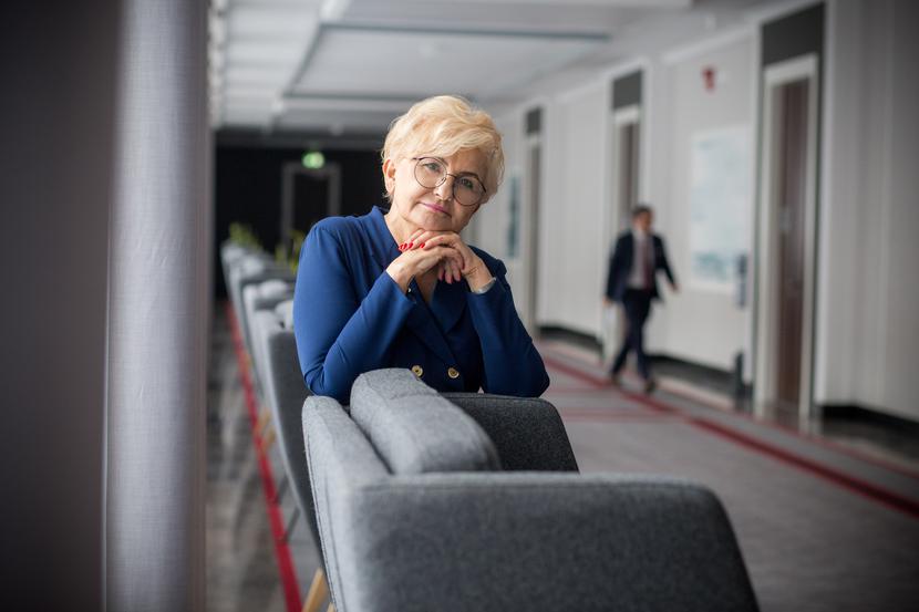 Iwona Michałek, wiceminister rozwoju, pracy i technologii Iwona Michałek, wiceminister rozwoju, pracy i technologii