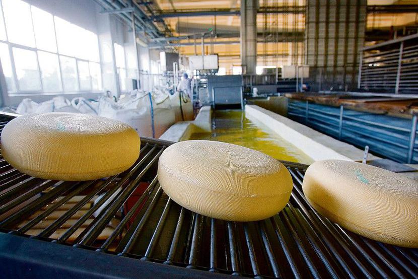 Dotychczas polskie inwestycje w Kazachstanie kojarzyły się z Petrolinvestem (który ma tu koncesję poszukiwawczą) i Polpharmą (właścicielem fabryki leków). Spożywców tu nie było. Może się to zmienić, jeśli zostaną zrealizowane dwa projekty — mleczarski i drobiarski.
 [FOT. WM]
 