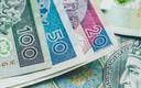 CASE: likwidacja obniżonych stawek VAT dałaby budżetowi 40 mld zł