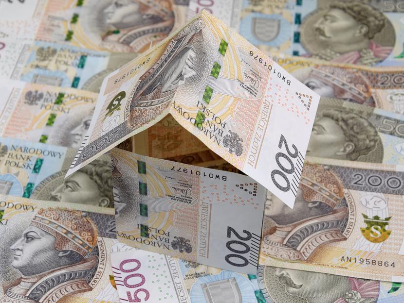 Polski złoty (PLN)