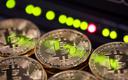 Diler narkotyków stracił bitcoiny warte 54 mln EUR