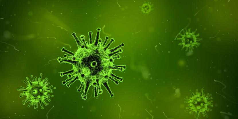 Pierwsza próbę zbadania pochodzenia wirusa SARS-CoV-2 Światowa Organizacja Zdrowia podjęła w styczniu 2021 r., gdy do Wuhan przybyli eksperci międzynarodowej grupy badawczej.