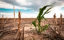 PIG: ocieplenie klimatu osiągnie maksimum prawdopodobnie pod koniec tego stulecia