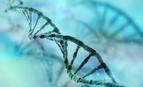 Opolski szpital ginekologiczny wprowadził badania mutacji genu BRCA1/BRCA2