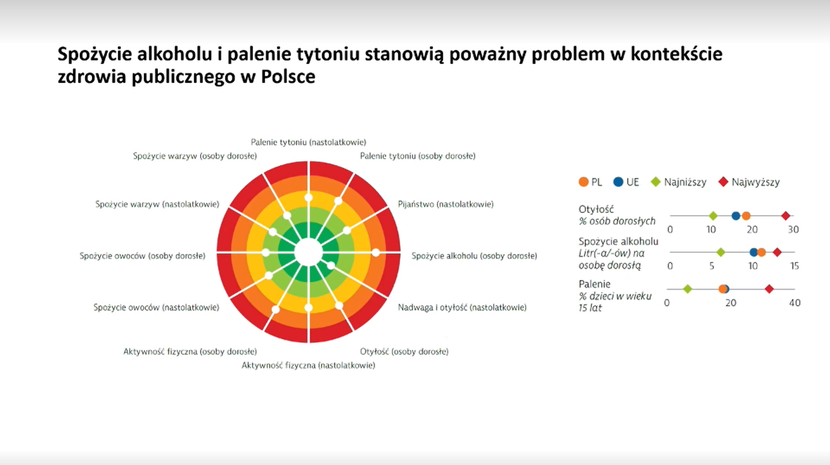 Jak Polski System Ochrony Zdrowia Wypada Na Tle Innych Krajów Ue Raport Puls Medycyny 6937