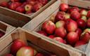 Związek Sadowników RP: trudna sytuacja na rynku jabłek