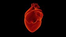 Choroba niedokrwienna serca - ilu pacjentów choruje? Jakie są koszty leczenia?