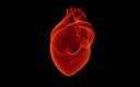 Choroba niedokrwienna serca - ilu pacjentów choruje? Jakie są koszty leczenia?