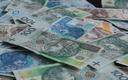43 mln zł dla 36 firm