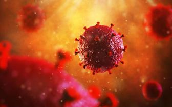 Naukowcy wyeliminowali wirusa HIV z zakażonej komórki przy użyciu nożyczek genetycznych