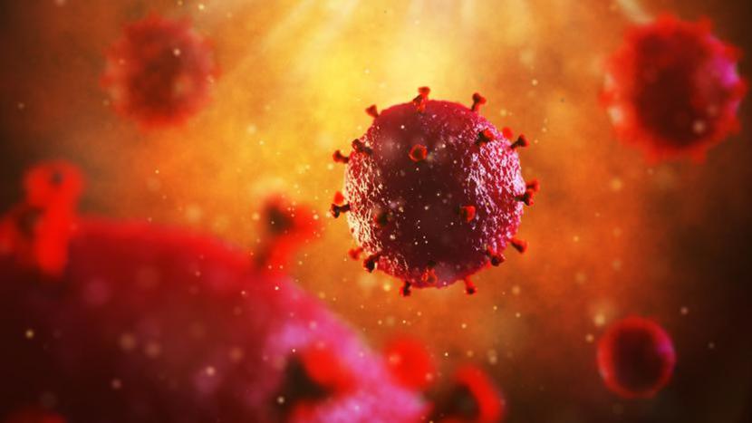 Użycie Crispr przeciwko HIV ma na celu wyeliminowanie w organizmie zakażonej osoby tych wirusów, które mimo skutecznego leczenia wciąż się ukrywają w niektórych komórkach. Użycie Crispr przeciwko HIV ma na celu wyeliminowanie w organizmie zakażonej osoby tych wirusów, które mimo skutecznego leczenia wciąż się ukrywają w niektórych komórkach.
