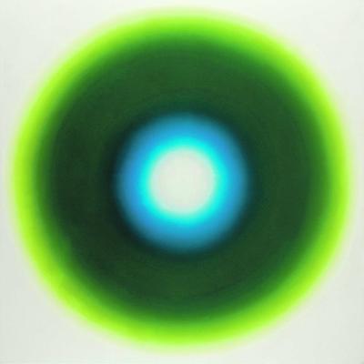 Koła Fangora od lat cieszą się niesłabnącym powodzeniem, zwłaszcza te z lat 60. i 70. Pod młotek poszedł „E6” z 1965 r. — olej, który artysta podarował koledze po fachu — mieszkającemu w Londynie, a dziś już nieżyjącemu Stefanowi Knappe.