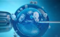 In vitro: jak rzetelnie informować o skuteczności leczenia niepłodności?