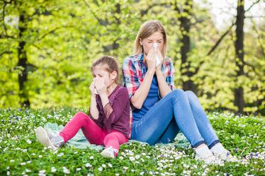 Aż 80 proc. dzieci może odziedziczyć alergię po rodzicach [BADANIA]