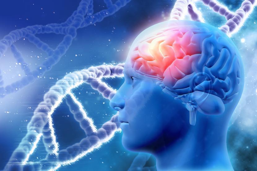 Naukowcy podkreślają, że w przypadku podejrzenia demencji sygnałem alarmowym nie są epizodyczne problemy z pamięcią.