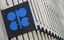 OPEC: Niewielka nadwyżka ropy w przyszłym kwartale z powodu spadku popytu