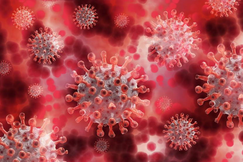 Ministerstwo Zdrowia uzasadnia zmianę utrzymującym się w Polsce spadkiem liczby zakażeń wirusem SARS-CoV-2. 