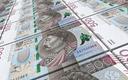 Złoty jest istotnie niedowartościowany