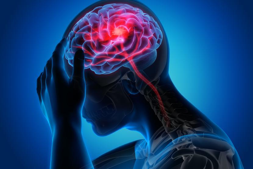 Polski naukowiec wraz z zespołem zaproponował, jak można farmakologicznie zatrzymać proces prowadzący do powstania epilepsji w przypadku uszkodzenia mózgu.