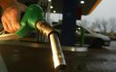 e-petrol.pl: w połowie stycznia paliwa na stajach tanieją